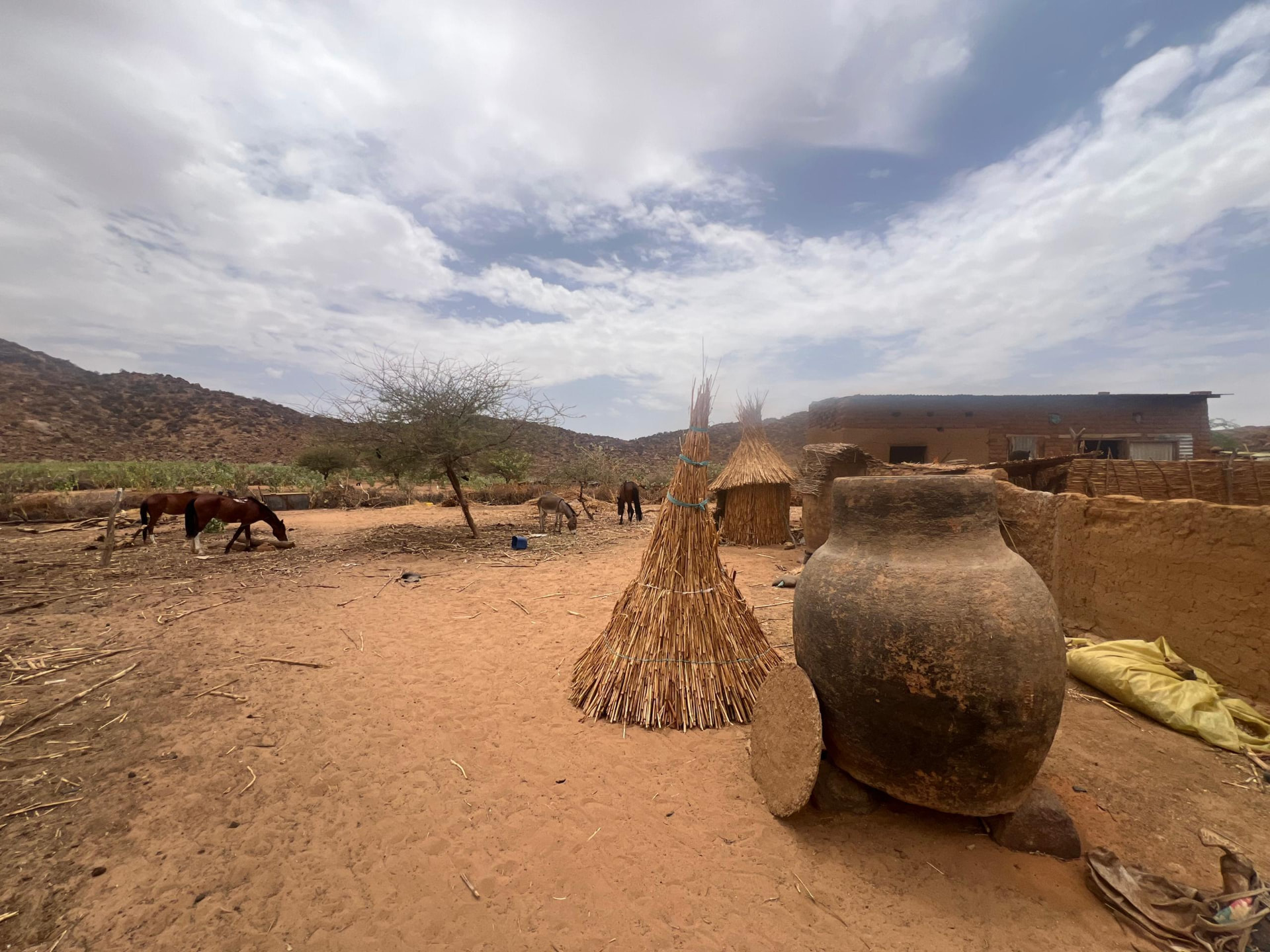 Dorfleben in der Region Moundou