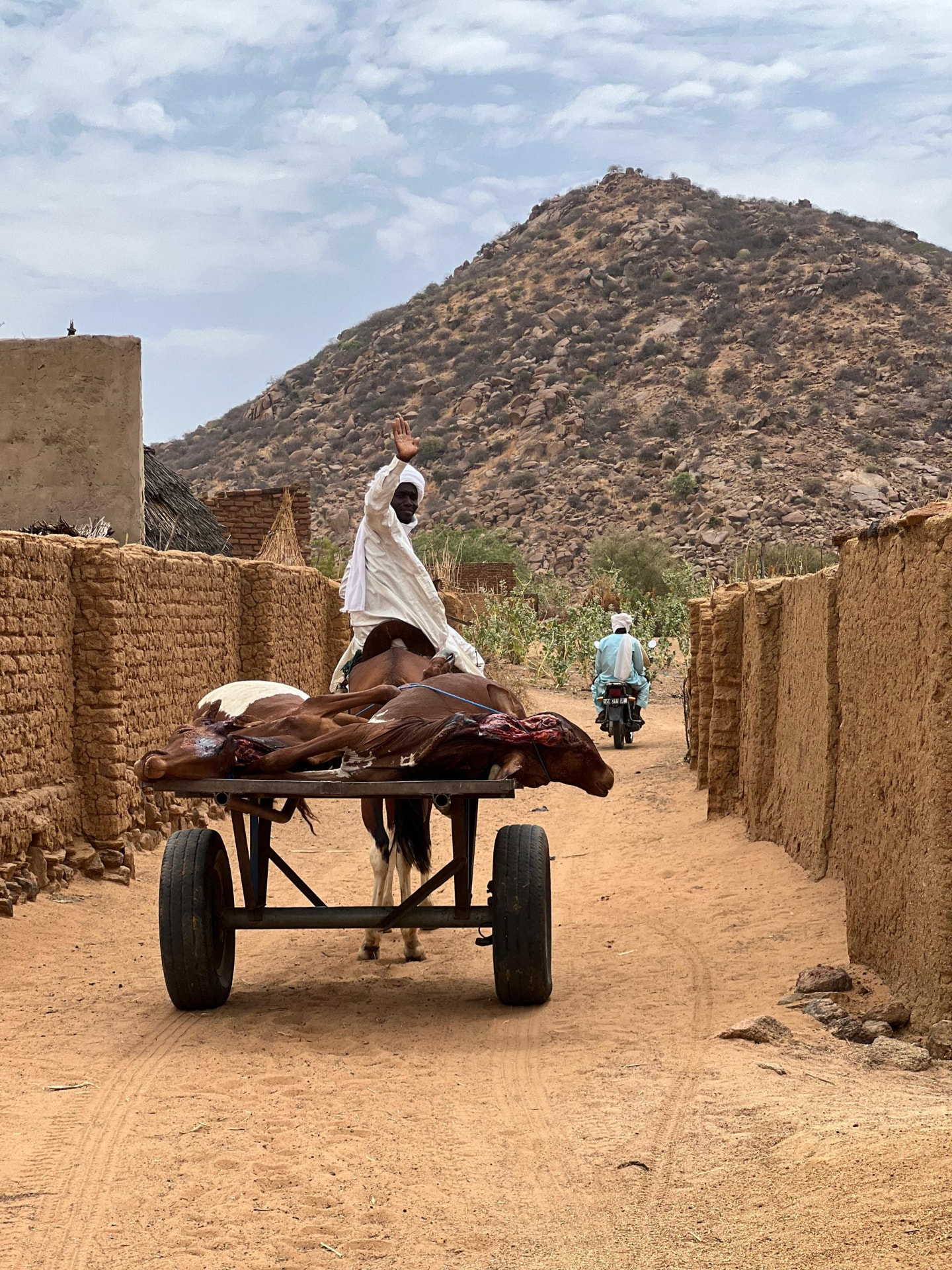Transport nach der Kurban-Durchführung in Moundou